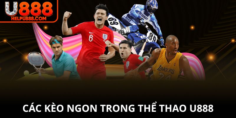 Các kèo ngon trong thể thao U888 cho cược thủ